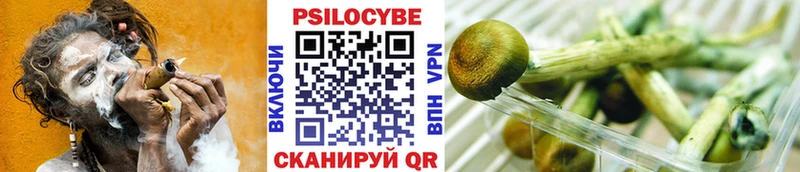 Галлюциногенные грибы прущие грибы  купить закладку  Шумиха 